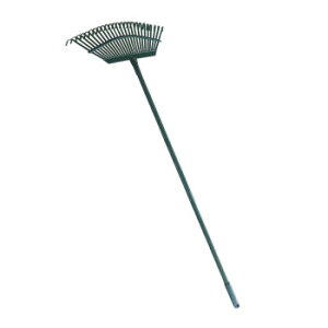 cO܂ 55524 Ǝpi |֘A