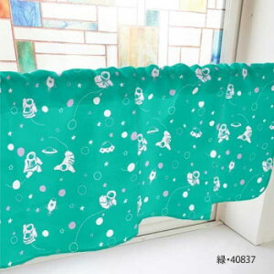 JtFJ[e Fsm 1000×450mm@΁E40837 CeA ~EJ[e