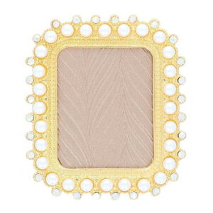 r[eB[lC[ 394 t[/XNGAS[h FRAME-11 ̑CtObYij |ENtgEn