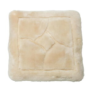 ���[�g�� �N�b�V���� 45x45cm 2���g �x�[�W�� KC145BE2P �C���e���A ���̑��C���e���A