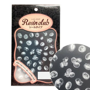 WNu@WV[@C@RC-KRG-101 ̑CtObYij |ENtgEn