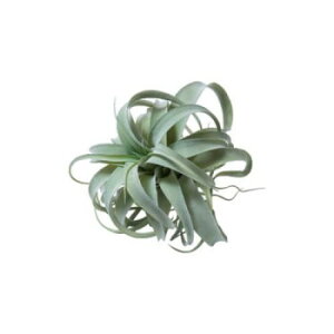 80912 �L�Z���O���t�B�JM �K�[�f�j���O�EDIY�E�h�E�� �K�[�f�j���O�E�ԁE�A���EDIY