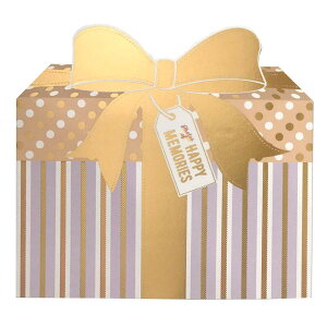 v[gAo VFsN 60-559 Eߋ 