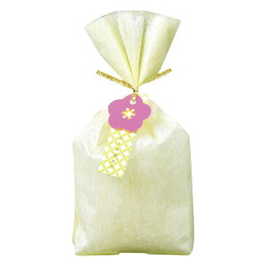 JN]RVobO NXCL 29-095 Eߋ 