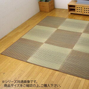 �����Ԃ����J�[�y�b�g �wFX�_�C�����\�x �u���E�� ��240×240cm 4822470 �C���e���A �~���E�J�[�e��