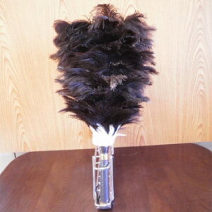 ΒˉH { I[Xgb` ~jт΂ G105 X|[cEAEghA J[E]