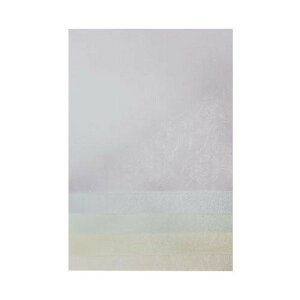 料紙 清湖 細字 5色セット 全懐紙 10枚 AG83-3 文具・玩具 文具