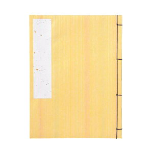 F^@C{[@@5s GU17-3 ̑CtObYij 