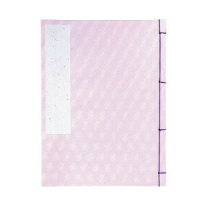 F^@Ԏ@@n GU13-1 ̑CtObYij 