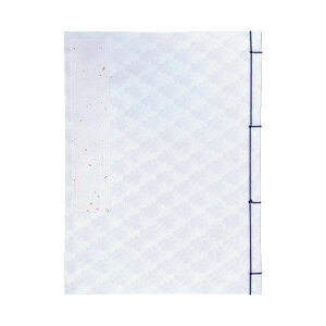 F^@Ԏ@@n GU13-4 ̑CtObYij 