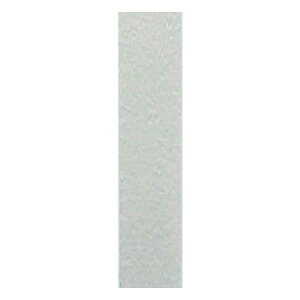 }[@101 2465 ̑CtObYij |ENtgEn