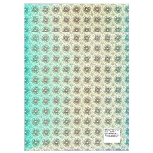 zOy[p[ 10 t[ H-13 10 Zbg Eߋ 