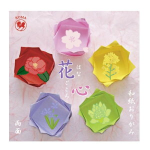 ԐS@F@15cm P0100 10 Zbg Eߋ 