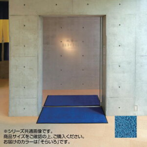 �C���h�A�}�b�g�@�u���C�g�}�b�gII�@��@60×90cm�@���炢�� �C���e���A �~���E�J�[�e��