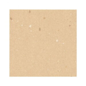  Bbv ؂̉  50Zbg B-43 Eߋ 