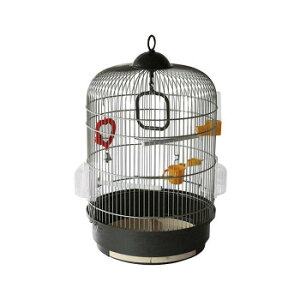 t@[vXg JiECRpP[WZbg W[i AeB[NuX 51049702 ybgpi ybg@