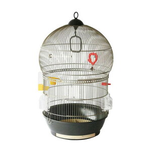 t@[vXg JiECRpP[WZbg o AeB[NuX 51018802 ybgpi ybg@