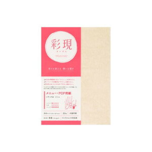 ʌ j[EPOPp UbN66  A4TCY 20 1742162 Eߋ 