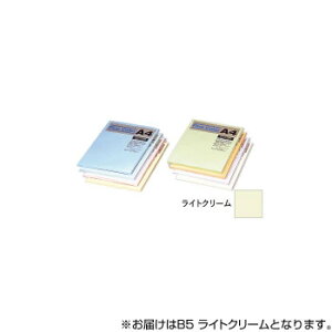 IXgb`_C j[t@CJ[PPCp B5 CgN[ 500 FRC5-B5 Eߋ 