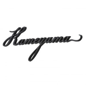  \D A~ GE-133 K[fjOEDIYEhE K[fjOEԁEAEDIY