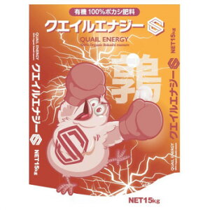 썇엿@{JV엿@NGCGiW[@S^Cv@15kg@2`6mm K[fjOEDIYEhE K[fjOEԁEAEDIY