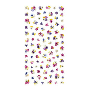 cL lCV[ noble hCt[Ƌ1 NO-DFG-101(WFp) ϕi nhPA