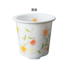 eB[tH[ a 7 S TFO-003 Ǝpi pi