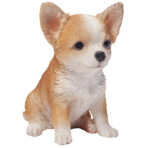 hbOI[ig ` 14063 CeA uE|v