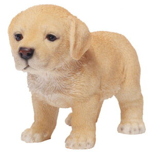 hbOI[ig uh[Ego[ 14071 CeA uE|v