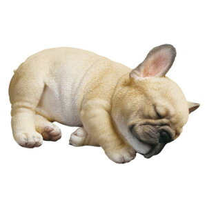 hbOI[ig t`u ˂ނ 14264 CeA uE|v