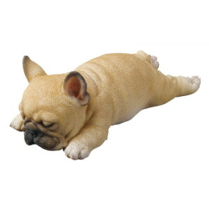 hbOI[ig t`u  14265 CeA uE|v