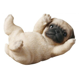 hbOI[ig pO  14268 CeA uE|v