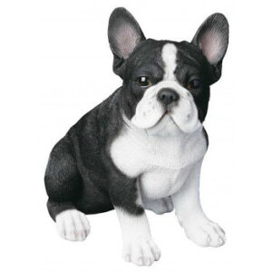 hbOI[ig t`u 14263 CeA uE|v