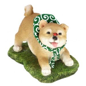 hbOI[ig Vo 14246 CeA uE|v