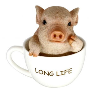 sbOI[ig Jbv 14186 CeA uE|v