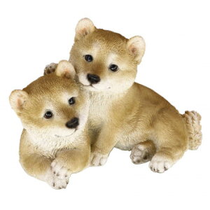 hbOI[ig Vo yA 14256 CeA uE|v