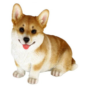 hbOI[ig R[M[ 14269 CeA uE|v