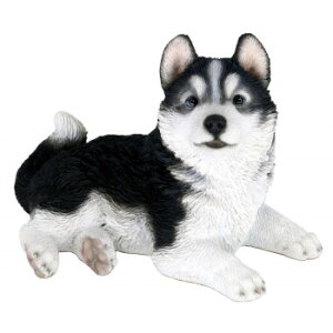 hbOI[ig nXL[ 14270 CeA uE|v