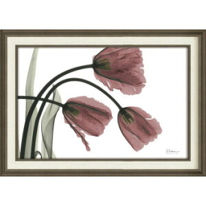 ���[�p���[ X RAY �L�����o�X�A�[�g�u�t�����W�`���[���b�v(M)�v XR-12020 �C���e���A ���̑��C���e���A