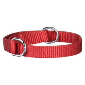 vpP[h@tbgJ[@M45cm@ 030803 ybgpi ybg@pi