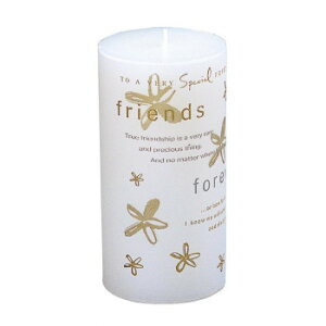 �L�����h�� FRIENDS FOREVER 24131 ���̑����C�t�O�b�Y�i��j �����O�b�Y�E�A���}�֘A