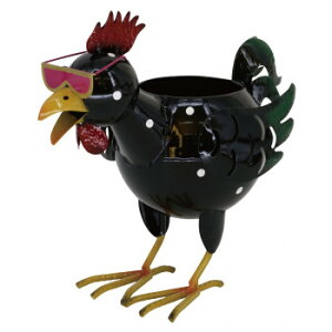 Aj}|bg Ȃ 82856 K[fjOEDIYEhE K[fjOEԁEAEDIY