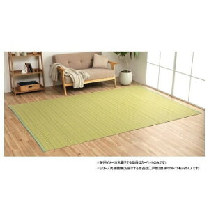 ���{�� �􂦂邢�����J�[�y�b�g �O���[�� �]�ˊ�2�� ��174×174cm 1090030120902 �C���e���A �~���E�J�[�e��