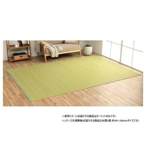 ���{�� �_�C�j���O���O ���ۃX�v���[ �O���[�� �{��3�� ��191×286cm 1090030121702 �C���e���A �~���E�J�[�e��