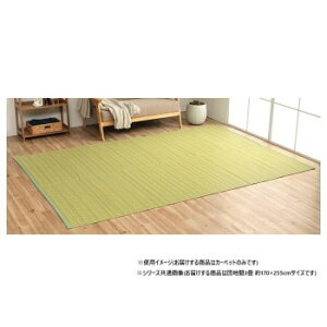 ���{�� �􂦂邢�����J�[�y�b�g �O���[�� �c�n��3�� ��170×255cm 1090030120302 �C���e���A �~���E�J�[�e��