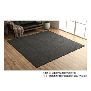 ���[�v�p�C�����O �u���b�N ��4�� ��190×290cm �z�b�g�J�[�y�b�g�Ή� 1280700031403 �C���e���A �~���E�J�[�e��