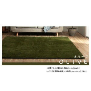 �ӂ�ӂ탉�O �J�[�y�b�g �I���[�u ��200×300cm 1280600211403 �C���e���A �~���E�J�[�e��