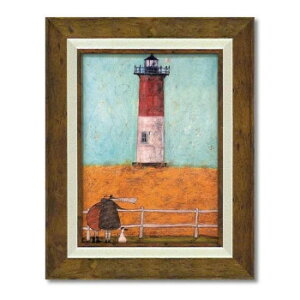 [p[ Tgtg A[gt[ um[Zbgňāv MTCY ST-05837 CeA ̑CeA