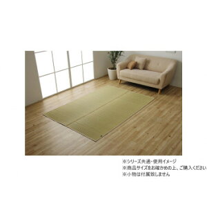 ���O �����` ���� ���{�� ���Y �s���� ��3�� ��191×250cm 1051631013904 �C���e���A �~���E�J�[�e��