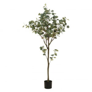 sfՁ@iC/D:41120j tFCNO[ [J 150cm WCg Ƌ/[ Ƌ@bN@̑